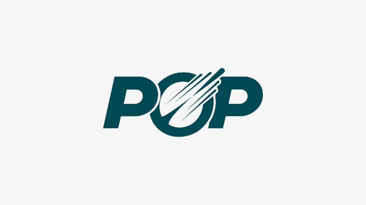 Page Optimizer Pro
