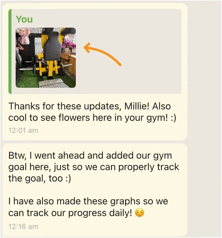 GoalsWon Web App coach check ins GoalsWon Web App coach check ins