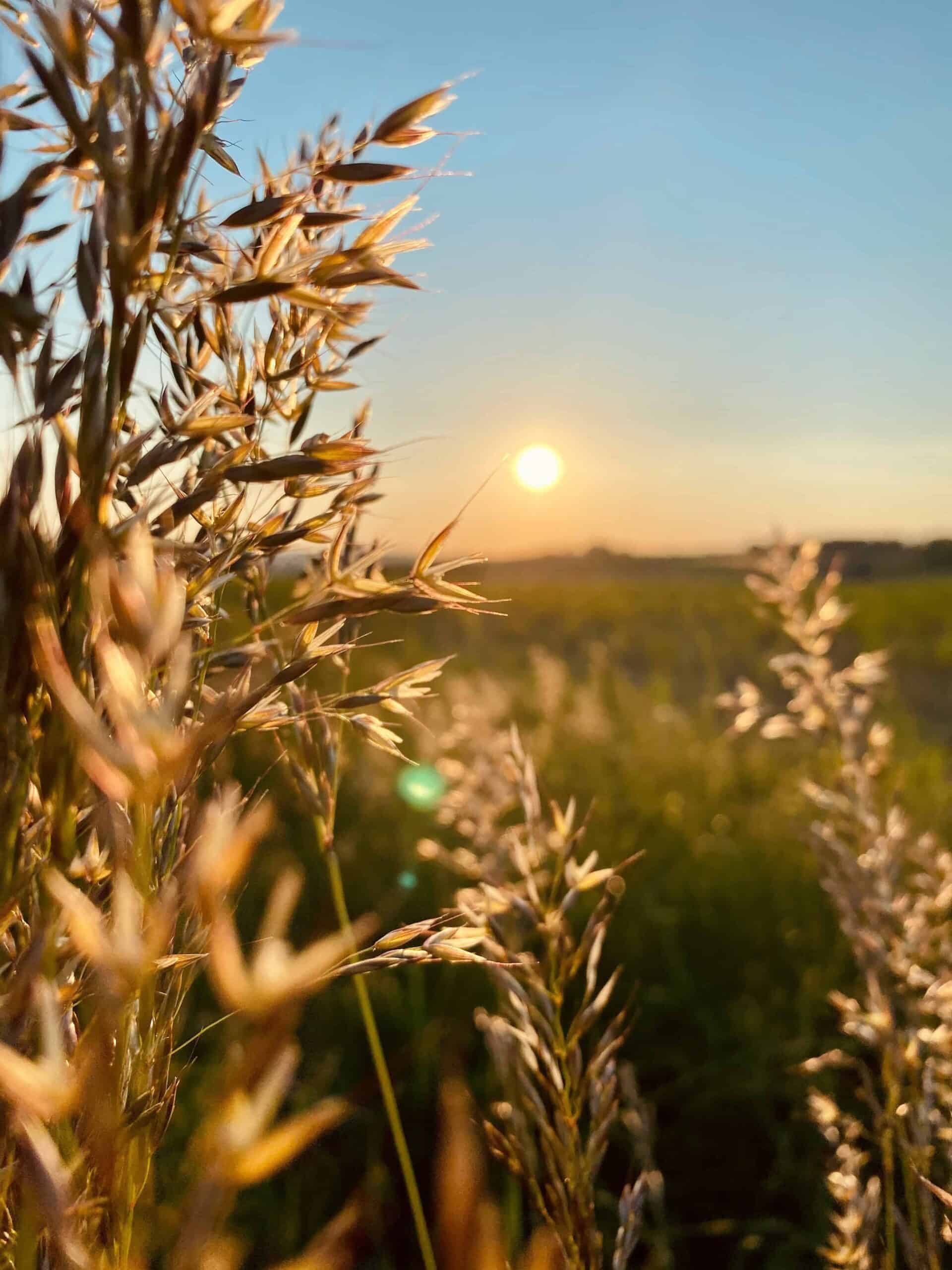country instagram captions country instagram captions