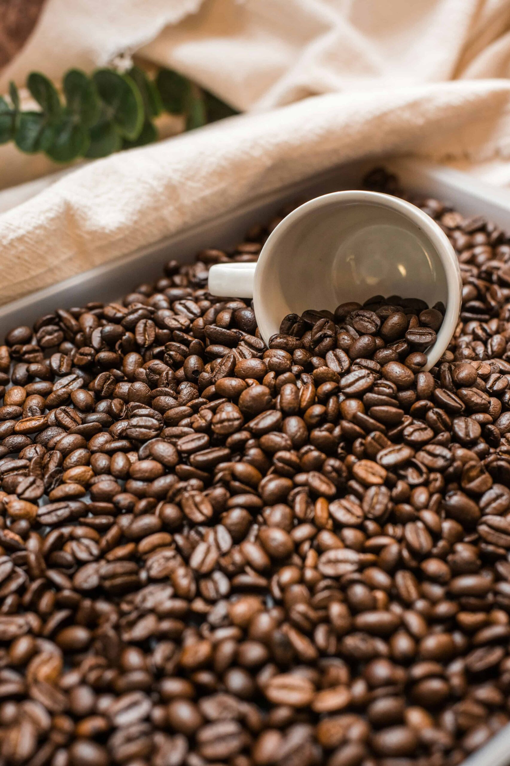 Coffee Instagram Captions Coffee Instagram Captions