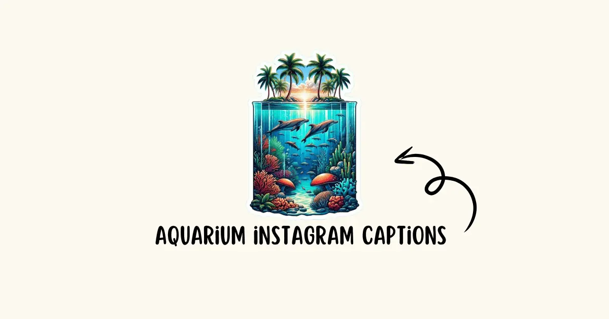 aquarium instagram captions