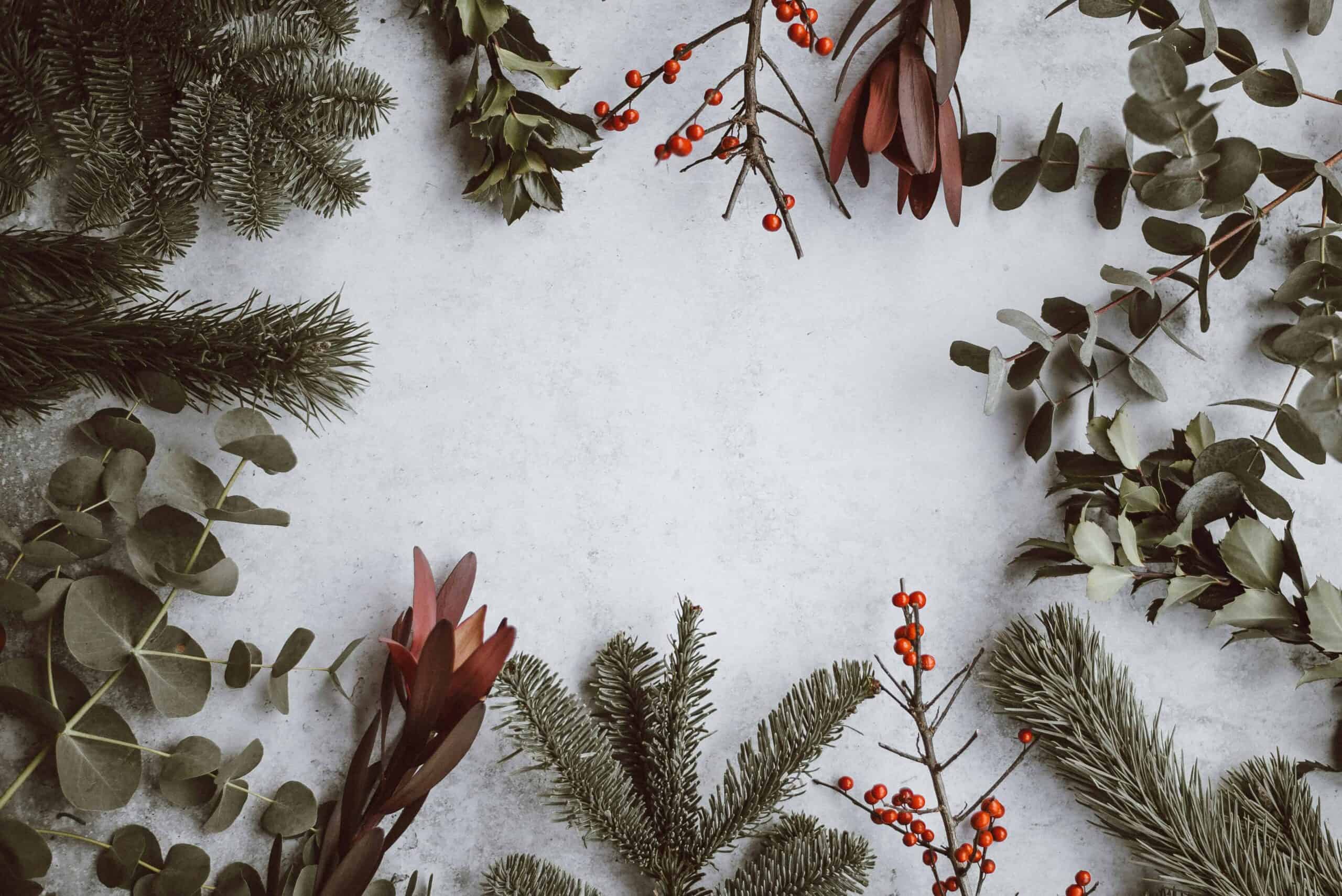 christmas captions for instagram christmas captions for instagram